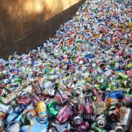 Expanded Recycling at the Ivy MUC