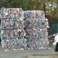 What is “Source Separated Recycling” and where does it go?