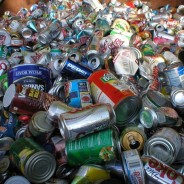 How to Recycle in Albemarle County (and Charlottesville too!)