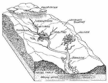 Cross section of a watershed (EPA.gov)