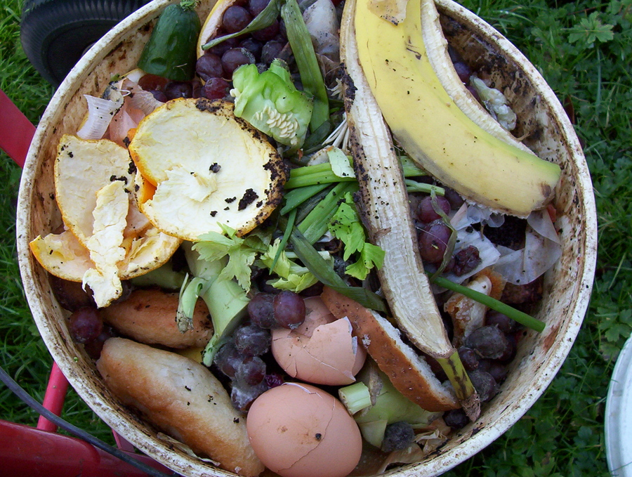 Household food scraps for composting