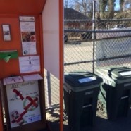 First week of composting declared a success!