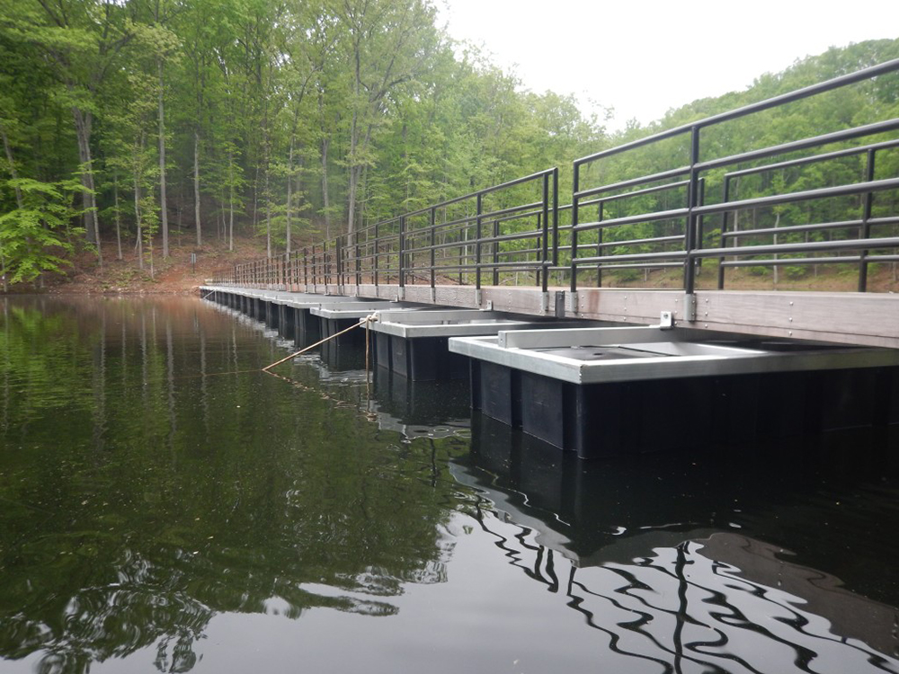 Floating Bridge at Site