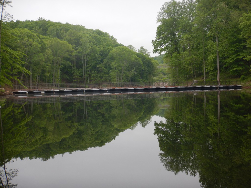 Floating Bridge at site_2