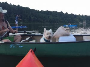 kayakers-and-dog