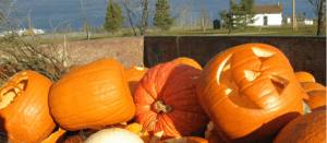 Great Pumpkin Smash @ McIntire Recycling Center