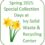Spring 2025 Special Collection Days at Ivy Solid Waste and Recycling Center