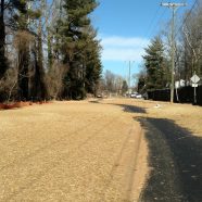 Schenk’s Wastewater Pipe Complete and Greenway Trail Reopens