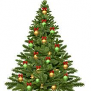 2019-2020 “Christmas Tree Recycling Program” Information