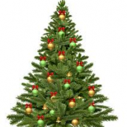 2018-2019 “Christmas Tree Recycling Program” Information